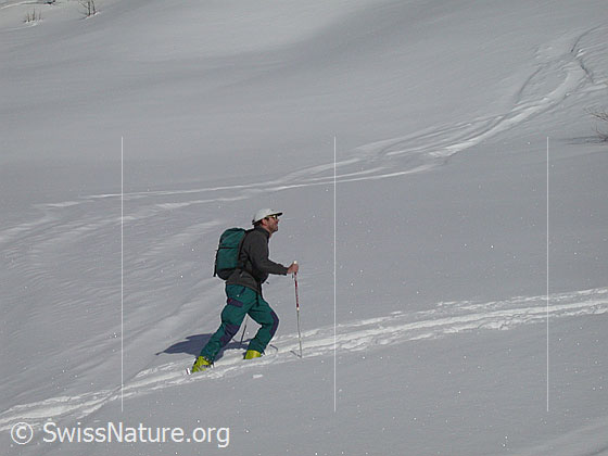 Foto: Auf Skitour