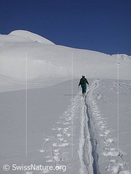 Foto: Auf Skitour
