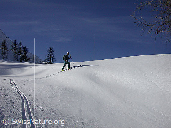 Foto: Skitourenfahrer im Aufstieg