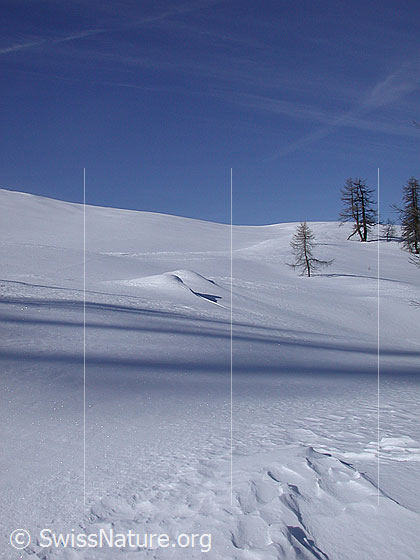 Foto: Unberührte Winterlandschaft auf Hockbode