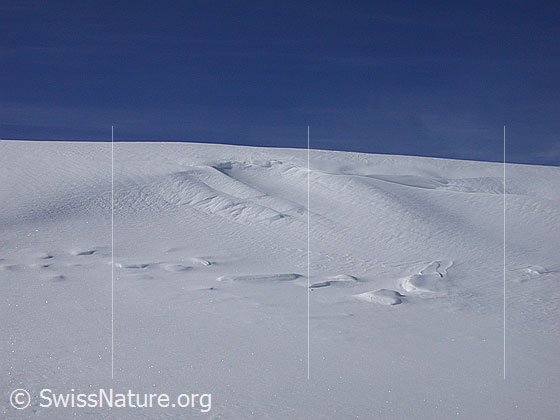 Foto: Schneeverwehung