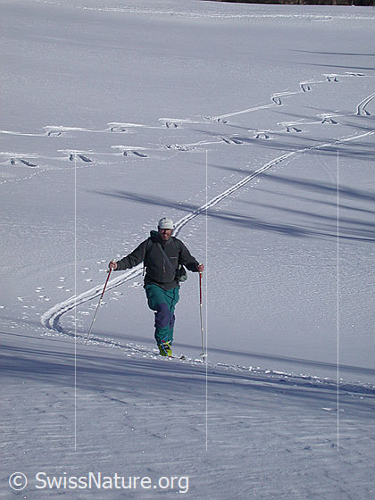 Foto: Auf Skitour