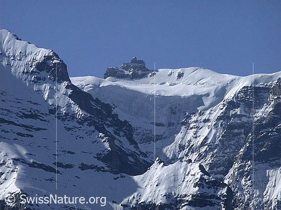 Foto: Blick von der Kleinen Scheidegg zum Jungfraujoch.