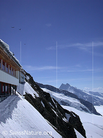 Foto: Jungfraujoch (Top of Europe).