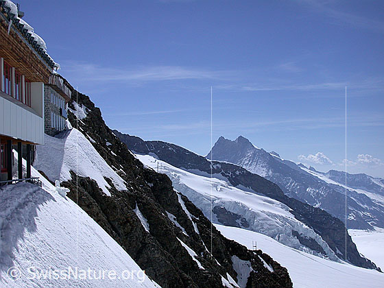 Foto: Jungfraujoch