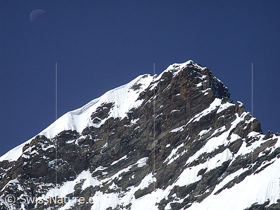 Foto: Blick vom Jungfraujoch zum Gipfel der Jungfrau.
Mit Mond im blauen Himmel.