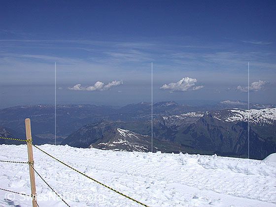 Foto: Ausblick vom Jungfraujoch Richtung Mittelland.