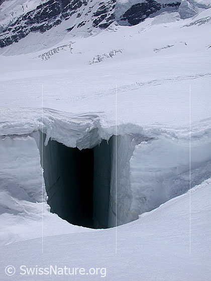 Foto: Auf dem Jungfraufirn. Gletscherspalte mit dünner Schneebrücke.