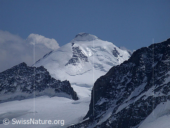 Foto: Blick vom Jungfraujoch zum Aletschhorn.
Im Vordergrund ein Teil des Kranzbergs.