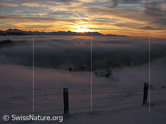 Foto: Abendstimmung mit Nebelmeer und gefärbten Wolken kurz nach Sonnenuntergang. Blick vom Rämisgummen, Eggiwil, Richtung Stockhorn. Im Vordergrund ein Zaun und der Bauernhof der Alp Rämisigummen in Nebelschwaden.