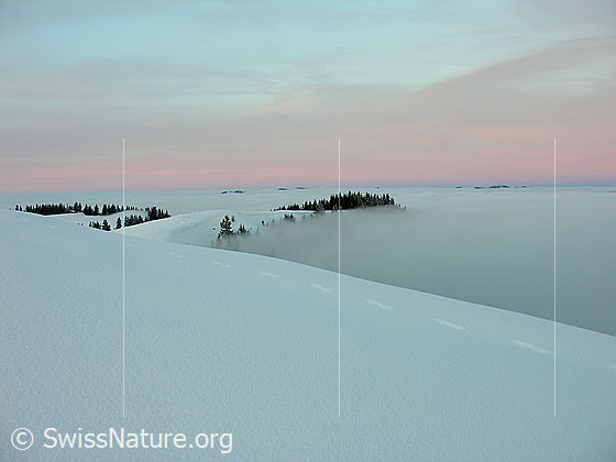 Foto: Abendstimmung mit gefärbten Wolken auf dem Rämisgummen, Eggiwil. Blick über das umfassende Nebelmeer und die Winterlandschaft mit Emmentaler Hügelzügen Richtung Mittelland.