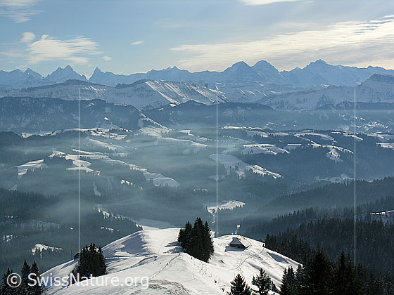 Foto: Blick vom Farnliesel über schneebedeckte Emmentaler Hügellandschaft mit feinem Nebel Richtung Berner Alpen. Vordergrund: Geänderücken mit Alphütte.