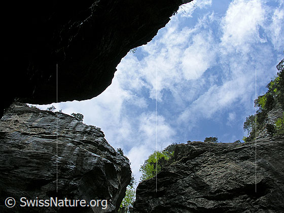Foto: Blick aus der Aareschlucht.