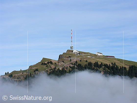 Foto: Rigi Kulm mit Sendemast und Nebelschwaden.