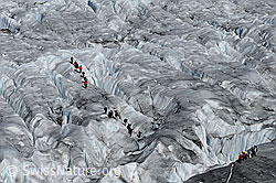 C062392: Gletscherwanderer auf dem Aletschgletscher
