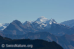 C122090: Titlis von der Beichlen