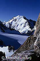 DIA85021: Aiguille d