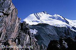 DIA86002: Rimpfischhorn