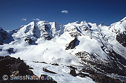DIA92058: Piz Palü