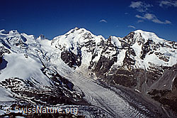 DIA92059: Piz Bernina, Piz Morteratsch