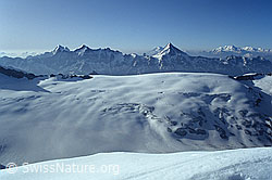 Foto: Petersgrat und Kanderfirn
