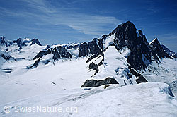 DIA92143: Finsteraarhorn von Osten