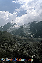 DIA94141: Combin de Corbassière und Petit Combin
