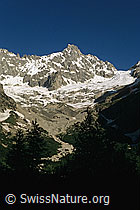 DIA95210: Tour Noir und Glacier de l
