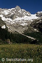 DIA95212: Tour Noir und Glacier de l