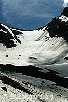 DIA95255: Schwarzgletscher