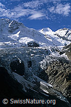 Photo: Fieschergletscher und Obers Ischmeer