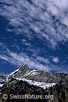 DIA95326: Eiger und Challifirn
