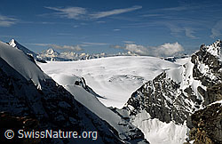 Foto: Petersgrat und Kanderfirn