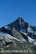 DIA98128: Bietschhorn von Süden
