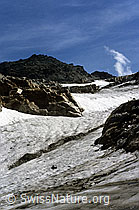 DIA98350: Helsenhorn und Helsengletscher