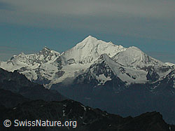 DSCN0197: Weisshorn, Bishorn, Brunegghorn