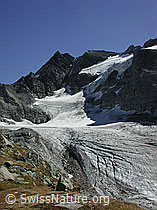 Photo: Ofenhorn und Tälligletscher im Sommer