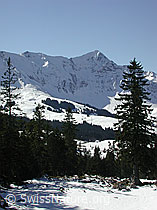 DSCN2814: Tannhorn