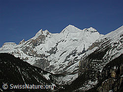 DSCN3001: Kandersteg: Blüemlisalphorn und Oeschinenhorn