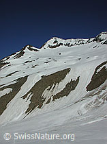 DSCN5368: Turbhorn, Binntal
