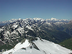 DSCN5380: Mittlenbärgpass, Binntal: Walliser Alpen