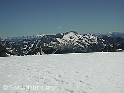 DSCN5406: Hohsandhorn: Pizzo Basodino