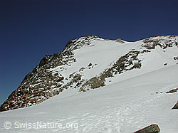 DSCN5430: Mittlenbärgpass: Hohsandhorn, Binntal