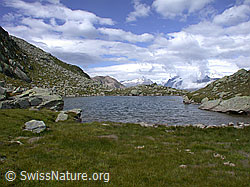 DSCN6510: Schaplersee mit Alpweide und Wolken
