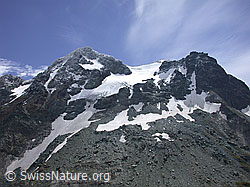 DSCN6519: Schwarzhorn und Fleschhorn