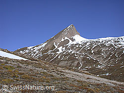 DSCN6830: Furggulti: Holzjihorn