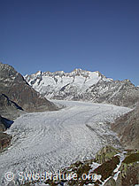 Foto: Moosfluh: Aletschgletscher