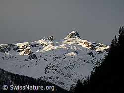 DSCN8199: Goppenstein: Hockenhorn