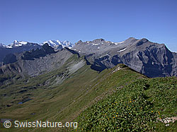 ESCN3514: Sulegg: Lobhörner, Drättehorn, Hoganthorn, Schwalmere