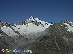 F000047: Eggishorn: Aletschhorn und Mittelaletschgletscher
